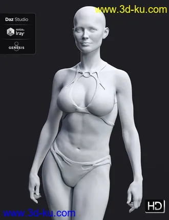 3D打印模型Leisa 8 HD Add-On的图片