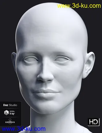 3D打印模型Leisa 8 HD Add-On的图片