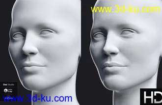 3D打印模型Leisa 8 HD Add-On的图片