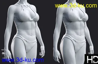 3D打印模型Leisa 8 HD Add-On的图片