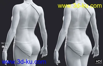 3D打印模型Leisa 8 HD Add-On的图片