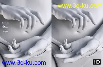 3D打印模型Leisa 8 HD Add-On的图片