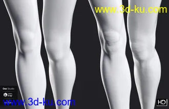 3D打印模型Leisa 8 HD Add-On的图片