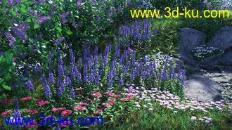 3D打印模型Lilac Chill Out的图片