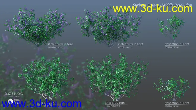 Lilac Chill Out模型的图片7