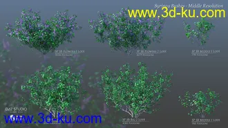 3D打印模型Lilac Chill Out的图片