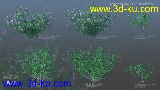 3D打印模型Lilac Chill Out的图片