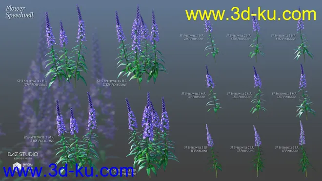 Lilac Chill Out模型的图片9