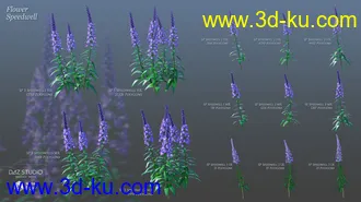 3D打印模型Lilac Chill Out的图片