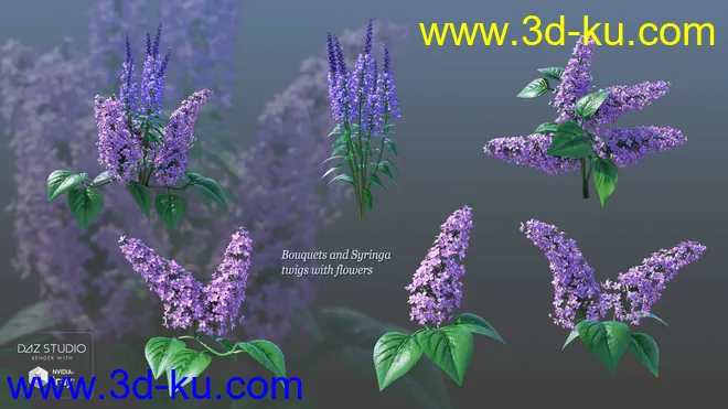 Lilac Chill Out模型的图片13