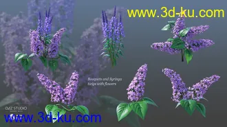 3D打印模型Lilac Chill Out的图片