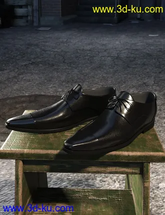 3D打印模型Long Nose Shoes II for Genesis 8 Male(s)的图片
