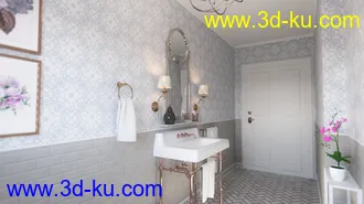 3D打印模型Louisiana Bathroom的图片