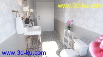 3D打印模型Louisiana Bathroom的图片