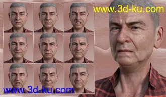 3D打印模型Lovable or Grumpy - Expressions for Genesis 8 Male and Floyd 8的图片