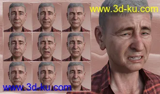 3D打印模型Lovable or Grumpy - Expressions for Genesis 8 Male and Floyd 8的图片