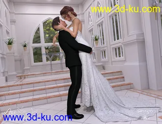 3D打印模型Love Birds for DazStudio的图片