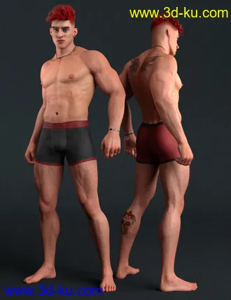 3D打印模型Miguel for Diego 8的图片