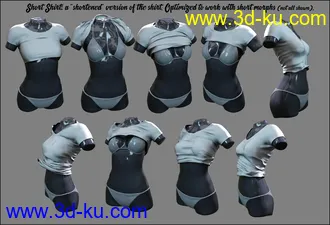 3D打印模型Morphs+ for Everyday 2的图片