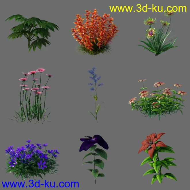 My Delicate Colorful Plants模型的图片4