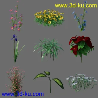 3D打印模型My Delicate Colorful Plants的图片