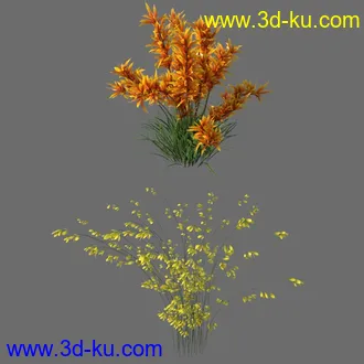 3D打印模型My Delicate Colorful Plants的图片
