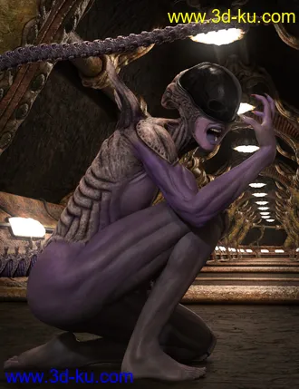 3D打印模型Mysterious Alien HD for Genesis 8 Female的图片
