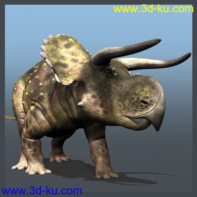 Nasutoceratops DR模型的图片1