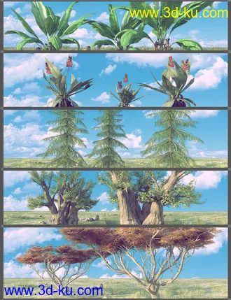 3D打印模型Nature Plants Bundle的图片