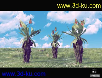3D打印模型Nature Plants Bundle的图片