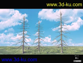 3D打印模型Nature Plants Bundle的图片