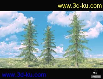 3D打印模型Nature Plants Bundle的图片