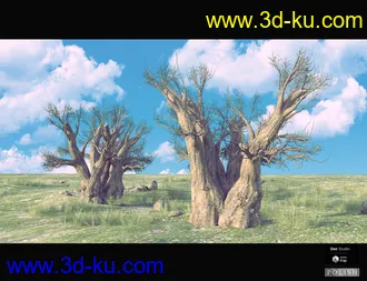 3D打印模型Nature Plants Bundle的图片