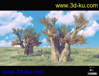 3D打印模型Nature Plants Bundle的图片