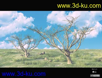 3D打印模型Nature Plants Bundle的图片
