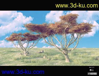 3D打印模型Nature Plants Bundle的图片