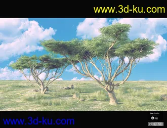 3D打印模型Nature Plants Bundle的图片