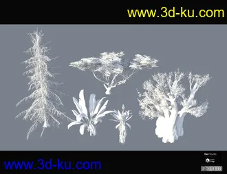 Nature Plants Bundle模型的图片11