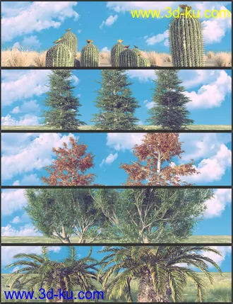 3D打印模型Nature Plants Bundle的图片