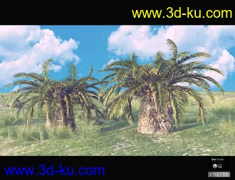 Nature Plants Bundle模型的图片13