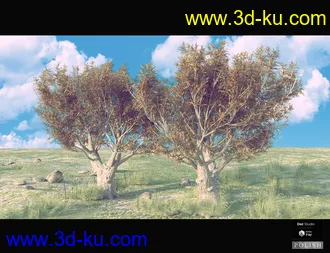 3D打印模型Nature Plants Bundle的图片