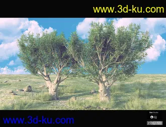 3D打印模型Nature Plants Bundle的图片