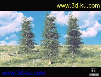 3D打印模型Nature Plants Bundle的图片