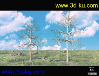 3D打印模型Nature Plants Bundle的图片