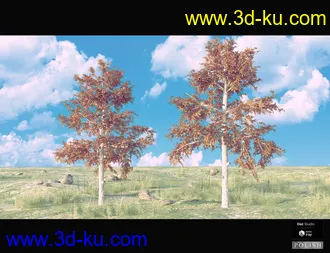 3D打印模型Nature Plants Bundle的图片