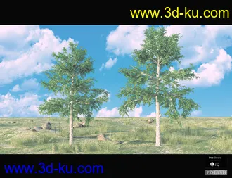 3D打印模型Nature Plants Bundle的图片