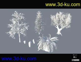 3D打印模型Nature Plants Bundle的图片