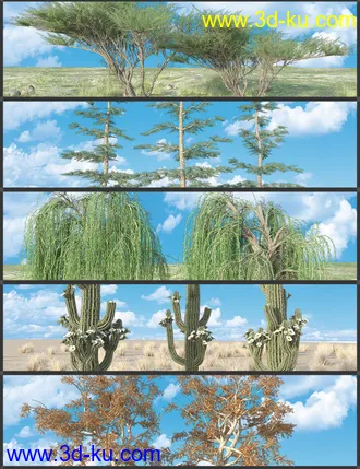 3D打印模型Nature Plants Bundle的图片
