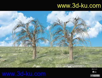3D打印模型Nature Plants Bundle的图片