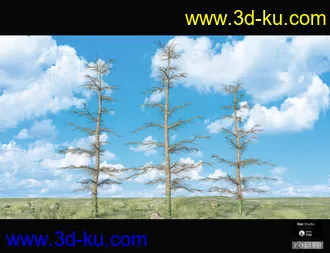 3D打印模型Nature Plants Bundle的图片